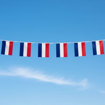 Vlaggenlijn-Nederland-15-x-21-cm-5-meter-bedrukken