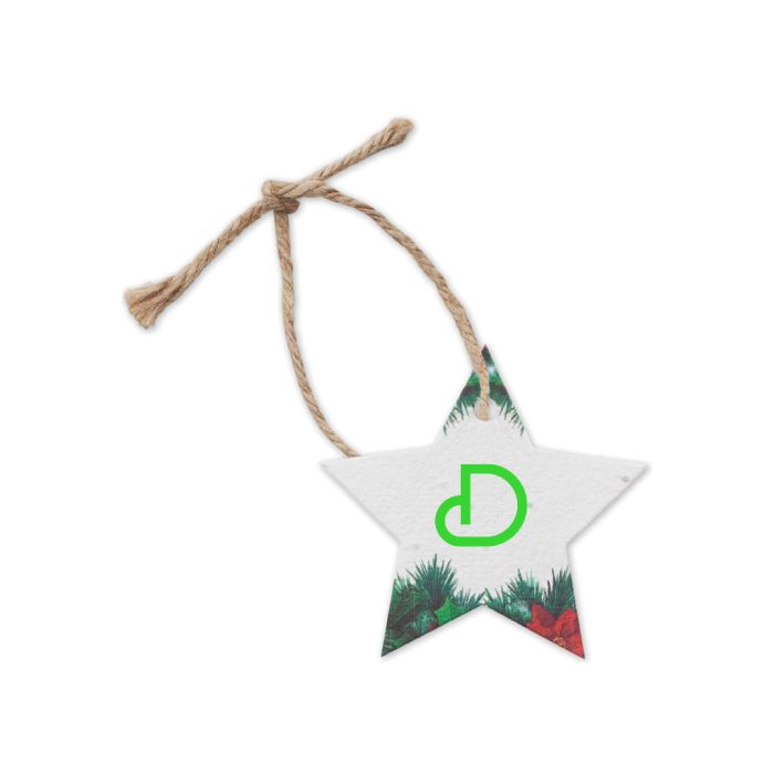 Kerst ornament | Bloemenzaadpapier | Kerstster