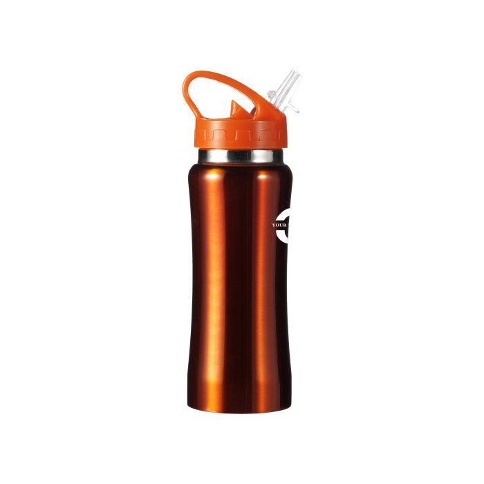 RVS drinkfles met inklapbare drinktuit | 600 ml